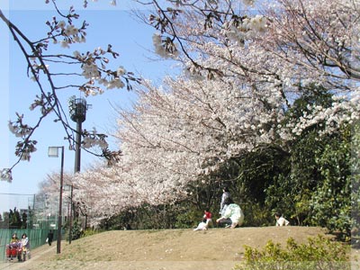 小豆沢公園