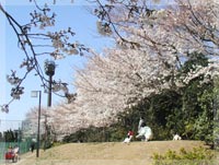 小豆沢公園